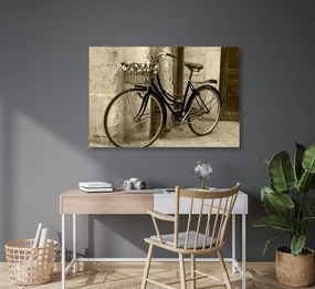 Obraz rustikálny bicykel v sépiovom prevedení Varianta: 120x80