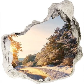 Diera 3D fototapety nálepka Cesty v lese v zime nd-p-77332313