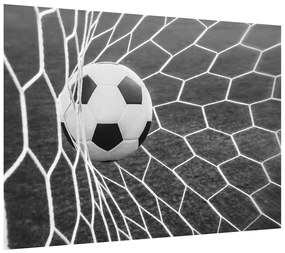 Futbalová lopta v sieti (70x50 cm)