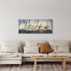 Obraz lúčnych kvetov (120x50 cm)