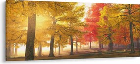 Obraz jesenných stromov (120x50 cm)