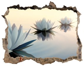 Samolepící díra na stěnu Lotosové kvety nd-k-68298321