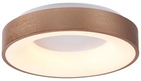 Rabalux 5052 - LED Stropné svietidlo CARMELA LED/30W/230V
