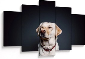 Obraz labradora (150x105 cm)