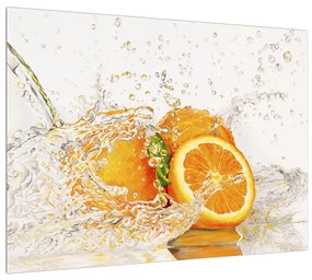 Obraz šťavnatých pomarančov (70x50 cm)