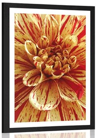 Plagát s paspartou exotická dália - 60x90 silver