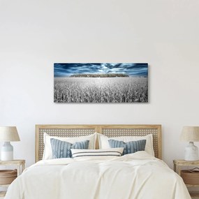 Obraz pole (120x50 cm)