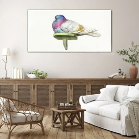 Obraz na skle Zvieracie vták holub