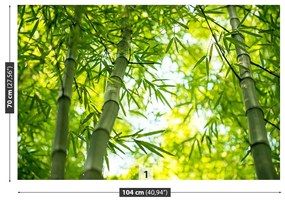 Fototapeta Vliesová Bambusové vetvy 152x104 cm