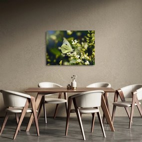 Sklenený obraz motýľa (70x50 cm)