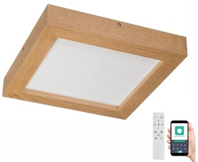 Brilagi-LED Stmievateľné svietidlo WOODY FRAME LED/24W/230V dub 30x30 cm IP44 + DO BG0859