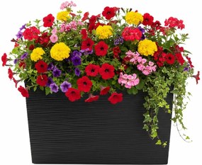 Plastový květináč Bloom Riflo 36,2x56,1 cm černý