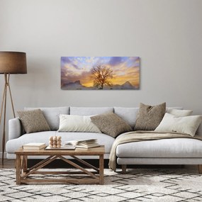 Obraz - Krajina so slnečnicami (120x50 cm)