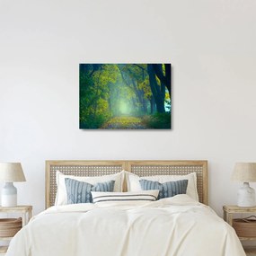 Sklenený obraz cesty lemovanej stromami (70x50 cm)