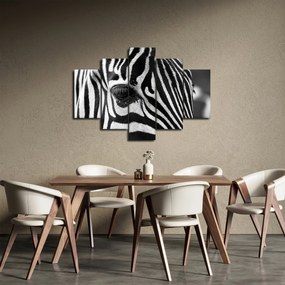 Obraz zebry (150x105 cm)