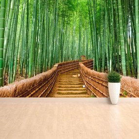 Fototapeta Vliesová Bambusové lesy 250x104 cm