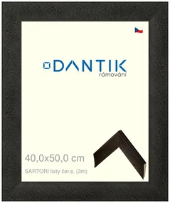 DANTIK rám na obraz 40x50 | SARTORI listy čer.s. (Plexi Čiré)