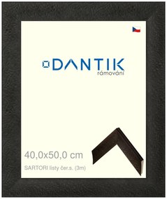 DANTIK rám na obraz 40x50 | SARTORI listy čer.s. (Plexi Čiré)