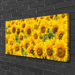 Obraz na plátne Slunecznice rastlina 140x70 cm