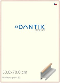 DANTIK rám na obraz 50x70 | ALU Dýha dub lak matný (Plexi Čiré)