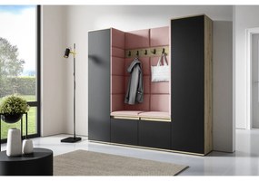 Predsieňová stena AMI 31 Bez zrkadla Dub artisan + čierna Ružová