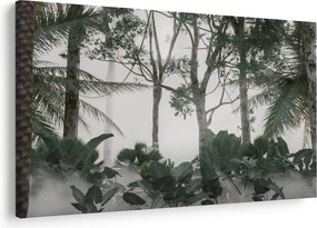 Obraz - Jungle v rannej hmle (90x60 cm)