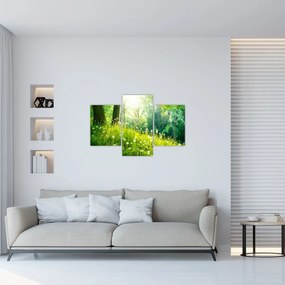 Obraz - Magická lúka plná púpav (90x60 cm)
