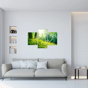 Obraz - Magická lúka plná púpav (90x60 cm)
