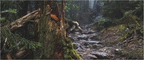 Obraz - V lese (120x50 cm)