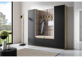 Predsieňová stena AMI 31 Bez zrkadla Dub artisan + čierna Svetlo béžová