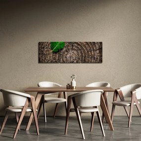 Obraz listu na kmeni stromu (s hodinami) (90x30 cm)