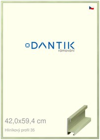 DANTIK rám na obraz 42x59,4 | ALU Dýha barevná zelená pastel (Plexi Čiré)