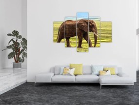 Obraz slona (150x105 cm)