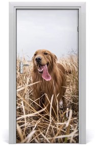 Samolepiace fototapety na dvere golden retriever 85x205 cm