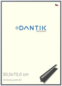 DANTIK rám na obraz 50x70 | ALU Platina matná (Plexi Čiré)