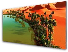 Obraz plexi Jazero púšť palmy 100x50 cm