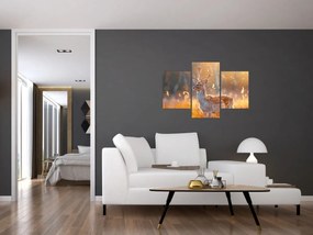 Obraz - Jeleň v poli (90x60 cm)