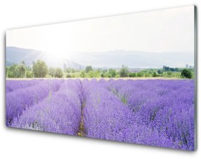 Skleneny obraz Pole levanduľa príroda lúka 120x60 cm