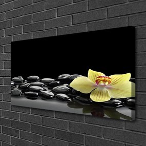 Obraz Canvas Kvet kamene kuchyňa 125x50 cm