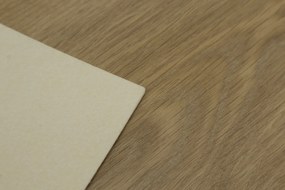 IVC Commercial, PVC podlaha - lino Logitex Ultimate 55 Elias T47, na mieru, šíře 2m,4m, hnedá, filc, chodba / predsieň