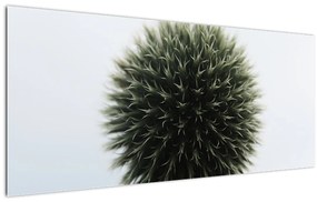 Obraz kvetinové gule (120x50 cm)