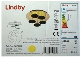 Lindby Lindby - LED Stmievateľné stropné svietidlo CASNI 5xLED/5W/230V LW0530