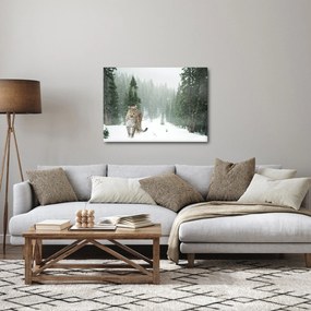 Obraz leoparda v snehu (70x50 cm)