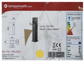 Lampenwelt - LED Vonkajšie stĺpikové svietidlo AMELIA LED/7W/230V IP55 LW0688