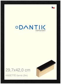 DANTIK rám na obraz 29,7x42 | KASSETTE černá (Plexi Čiré)