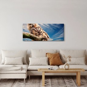 Obraz sovy (120x50 cm)