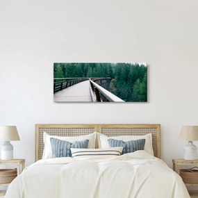 Obraz - Most k vrcholkom stromov (120x50 cm)