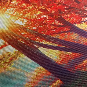 Obraz - Jesenná krajina (120x50 cm)