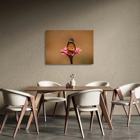 Sklenený obraz motýľa na kvetine (70x50 cm)