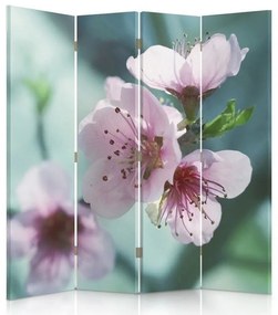 Ozdobný paraván Růžový květ jabloně - 145x170 cm, štvordielny, obojstranný paraván 360°
